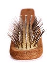 Free Comb. Stock Photography - 7736842