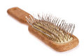 Free Comb. Royalty Free Stock Photos - 7736848