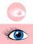 Free Female Eye Pictogram Royalty Free Stock Images - 7731649