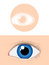 Free Eye Pictogram Stock Photography - 7731672