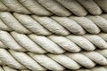 Free Cluster Of Rope Strands Stock Photography - 7740892
