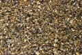 Free Marine Pebbles Stock Image - 7749161