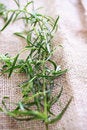 Free Tarragon On Tablecloth Royalty Free Stock Images - 7751099