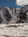 Free Pollution In The Mountains Stock Image - 7751751