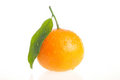 Free Juicy Orange Stock Image - 7751921