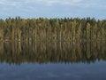 Free Forest Lake Stock Photo - 7751990