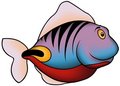 Free Violet-blue Coral Fish Stock Photo - 7754890