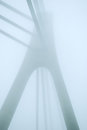 Free Constructions Are In Fog Stock Image - 7756351