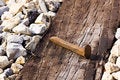 Free Railroad Spike Royalty Free Stock Photo - 7757755
