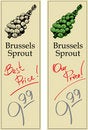 Free Brussels Sprouts Stock Images - 7758264