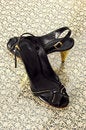Free Elegance Shoes Royalty Free Stock Images - 7758349