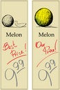 Free Melon Stock Images - 7758584
