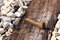 Free Railroad Spike Royalty Free Stock Photo - 7757755