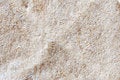 Free Wrapping Paper. Stock Images - 7762634