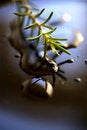 Free Rosemary Twig Stock Photos - 7765443
