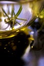 Free Rosemary Twig Stock Image - 7765461