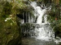 Free Wood Rivulet Royalty Free Stock Image - 7769976