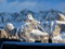 Free Dolomites And The Roof Royalty Free Stock Image - 7760416
