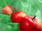 Free Three Apples Royalty Free Stock Photography - 7762787