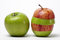 Free Red And Green Sliced Apples Isolated On White Stock Photo - 7763200