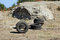 Free Abandoned Tires Royalty Free Stock Images - 7764079