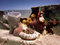 Free Colourful Corals Inhabiting A Wreck Stock Image - 7768181