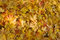 Free Fallen Leaves Royalty Free Stock Image - 7771476