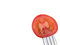 Free Tomato Stock Images - 7773764