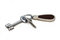 Free Two Keys And Charm Stock Images - 7779594