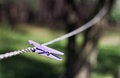 Free Clip Royalty Free Stock Photo - 7789655
