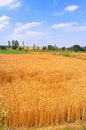 Free Agriculture Stock Images - 7790144