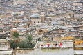 Free Fez Medina Royalty Free Stock Photos - 7790918