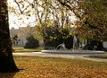 Free Park Stock Photos - 7791403
