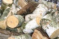 Free Scrap Of Tibers Stock Photography - 7791872