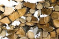 Free Scrap Of Tibers Under Snow Royalty Free Stock Photography - 7791937