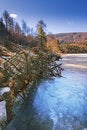 Free Ice Lake And Forests Royalty Free Stock Images - 7793539
