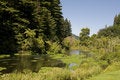 Free 100 Pure New Zealand Stock Images - 7795544