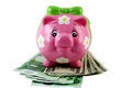 Free Piggy Royalty Free Stock Photos - 785418