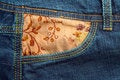 Free Jeans Fabric And Zipper Stock Image - 787701