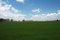 Free Green Landscape Stock Photography - 782322