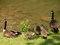 Free A Day At The Park Royalty Free Stock Images - 787079