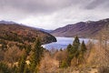Free Forest Lake Royalty Free Stock Images - 7803859