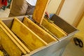 Free Worker Collecting Honey Royalty Free Stock Images - 7808409