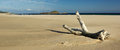 Free Amazing View - Chia Beach - Sardinia Royalty Free Stock Photo - 7819835