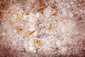 Free Handmaiden Texture Royalty Free Stock Photos - 7828378