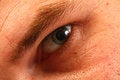 Free Eye Of An Adult Stock Images - 7829944