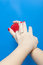 Free Marriage Proposal Royalty Free Stock Photography - 7824567