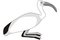 Free Ibis Royalty Free Stock Photo - 7829635
