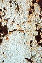 Free Background Stock Photo - 7830100