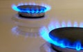 Free Flames Of Gas Stove Royalty Free Stock Photos - 7831038